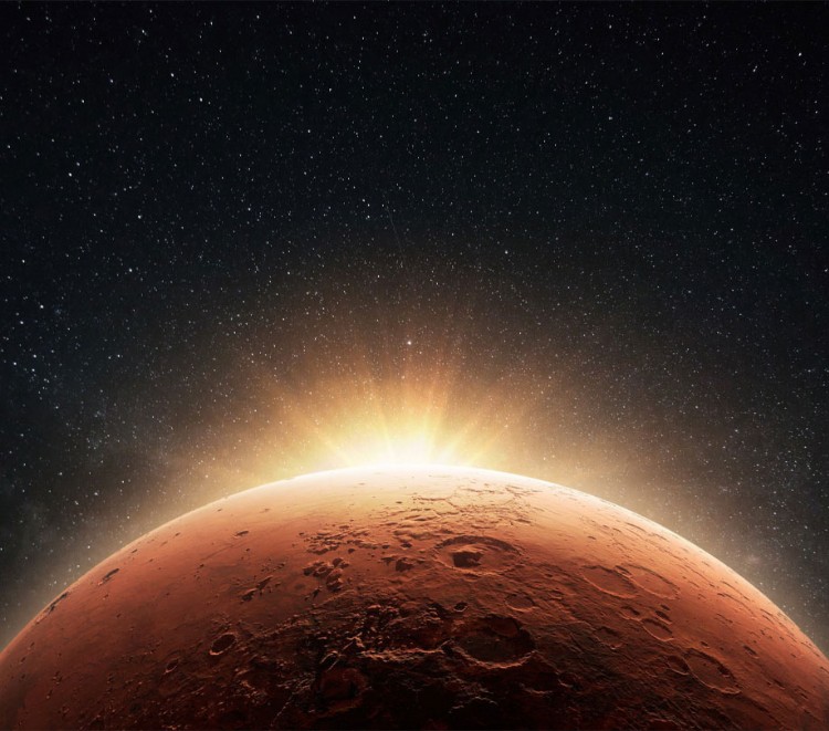 The SpaceX telescope and what we know so far