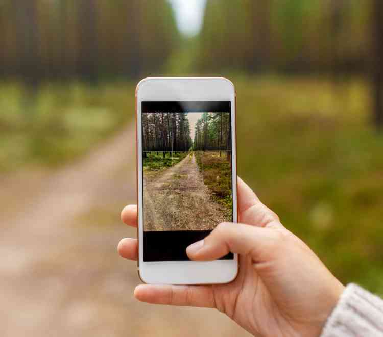 Using app gamification to get more people outdoors