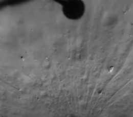 Whirlwind Chang e 6 mission collects lunar samples
