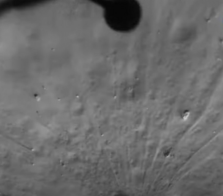 Whirlwind Chang e 6 mission collects lunar samples