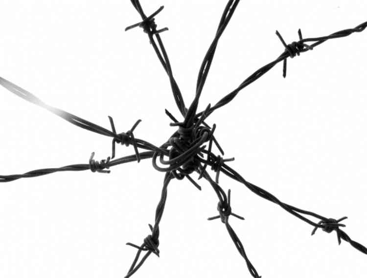 How Do You Get an App The Pains of App Development Contract Work