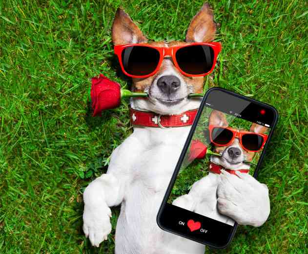 Is Apple Cooking Something Up for September 9 I Say “Supersize My Order!