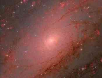 Core of Andromeda galaxy by Weitang Liang, Qi Yang, Chuhong Yu