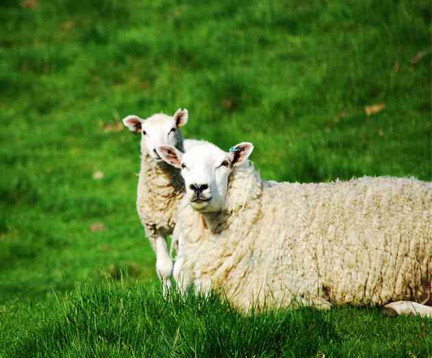 Editors Note: Changes and Showdowns