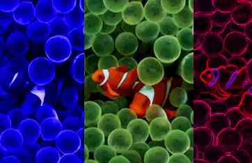 Coronas New Graphics 2.0 is Now Public Beta