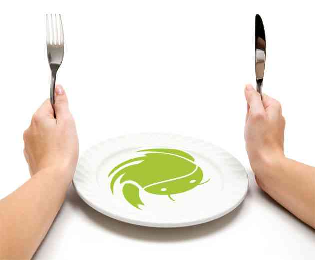 One in Five Smartphones Sold in Q2 2014 Running Forked Android OS