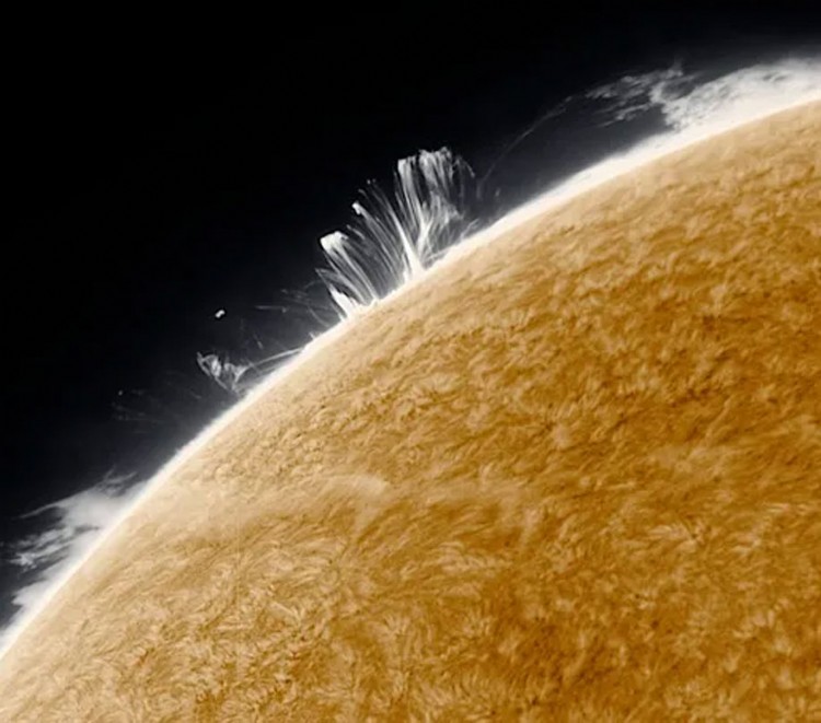 3rd place Alessandro Flare X2 9