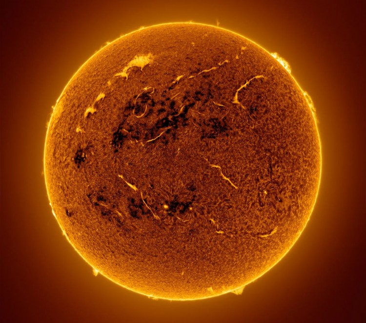 A Whale Sailing the Sun by Eduardo Schaberger Poupeau