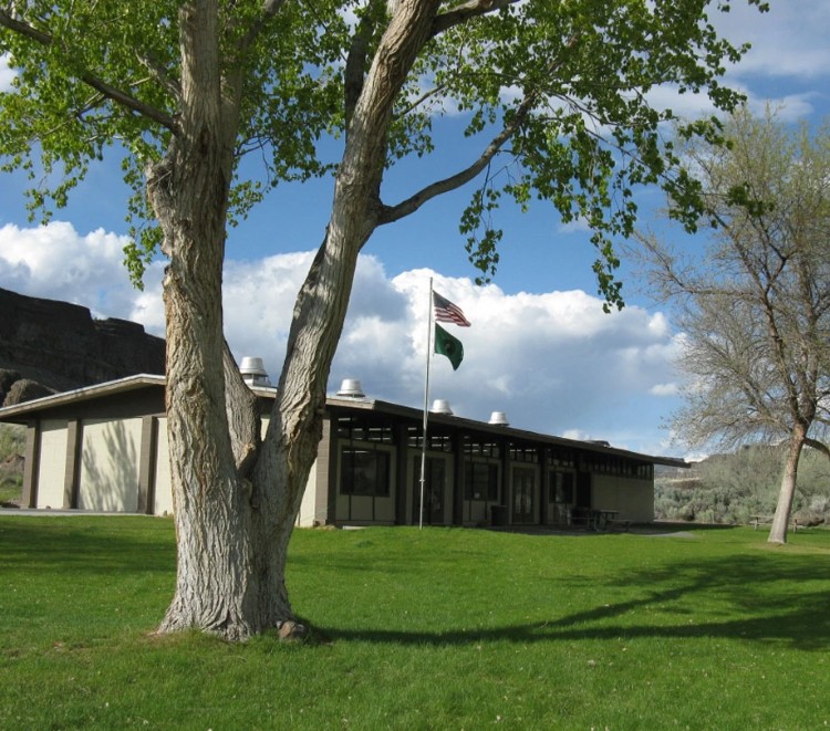 A little Camp Delany teaser