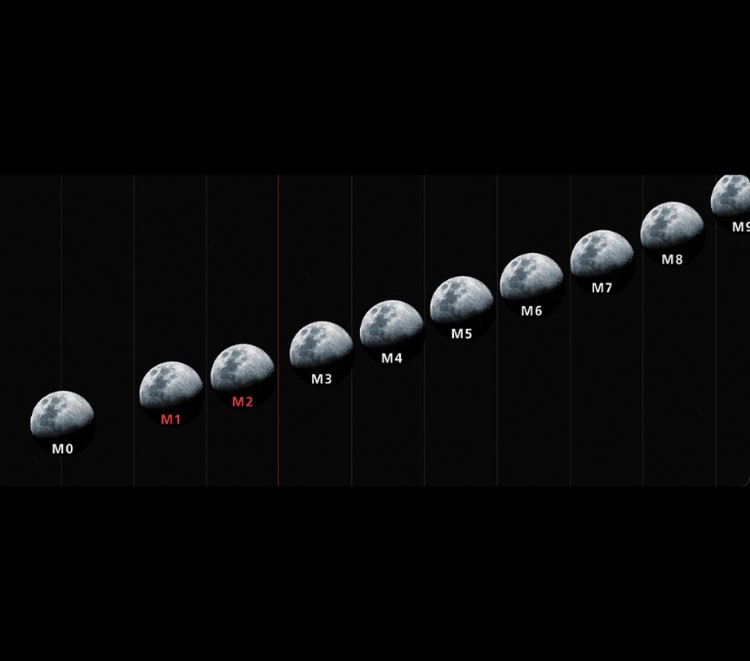 A shared journey with global support
