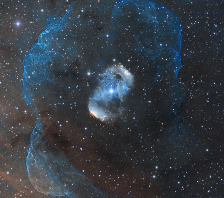 AU Rodney Dragons Egg