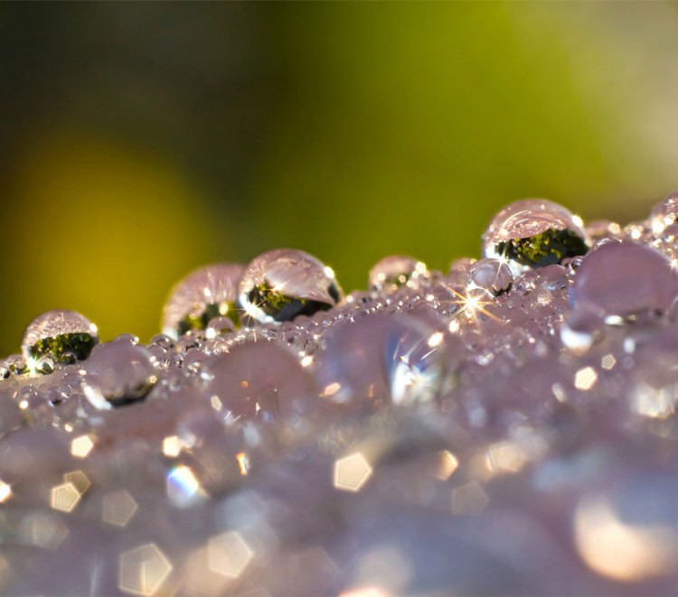 Additional tips and tricks to keep your telescope lenses dew free