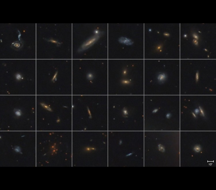 Background galaxy zoo