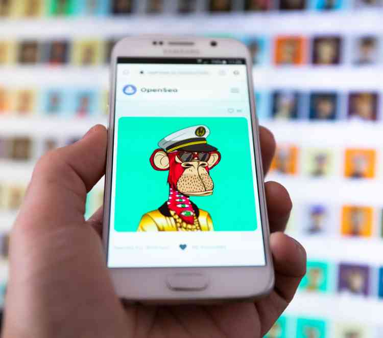 Bored Ape Yacht Club NFT collection