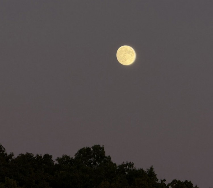 Bright moon could hurt viewing Orionids meteors