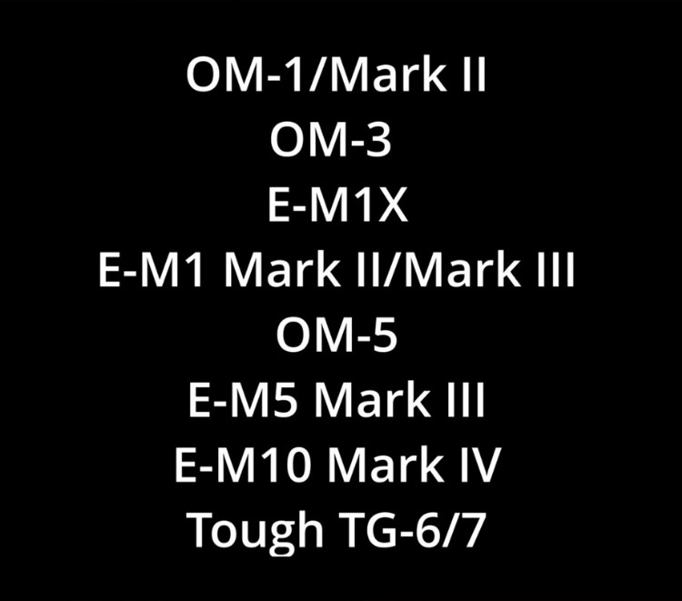 Camera list that have live composite