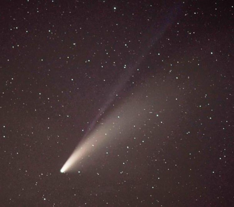 Comet C 2023 A3 in focus