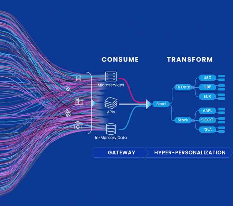 Conditional update and OR operator constraints