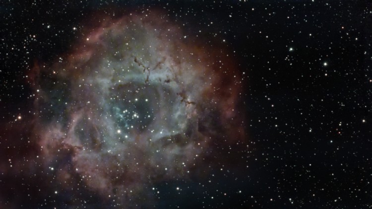 DWARF mini Rosette nebula by Trey Abbe