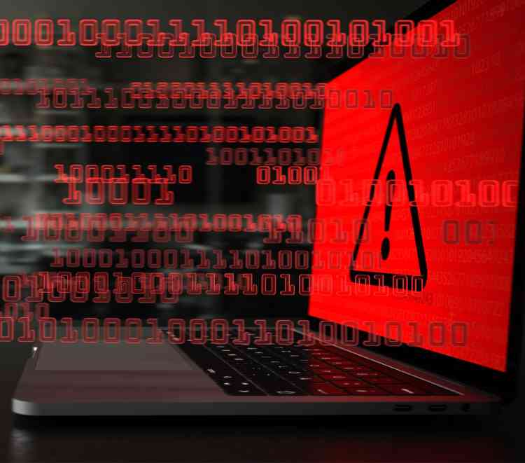 Demand for clearer prioritization data making VEX more popular