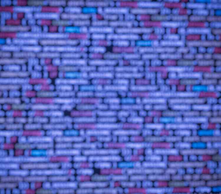 Embedded analytics is still on the rise