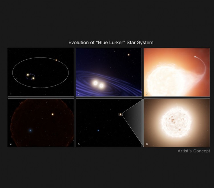 Evolution of the Blue Lurker Star