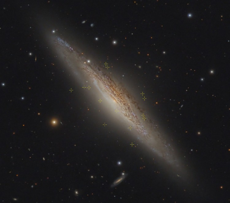 Globular clusters in NGC 2683