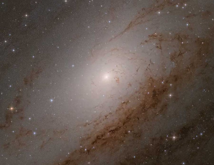 LRGB version of the Andromeda Core