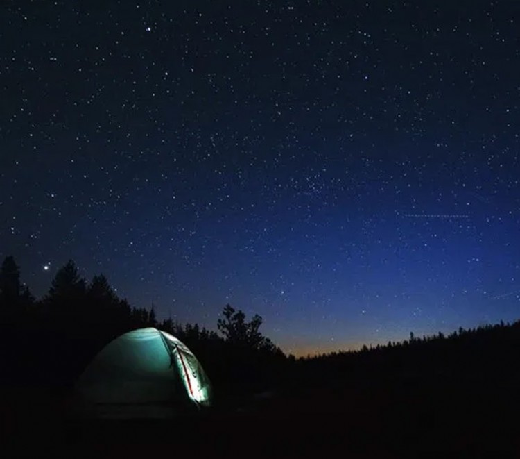 Looking Up Through the Changes