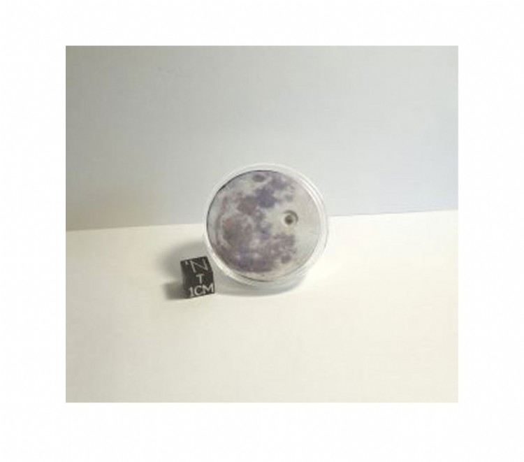 Moon Rock Disc Display