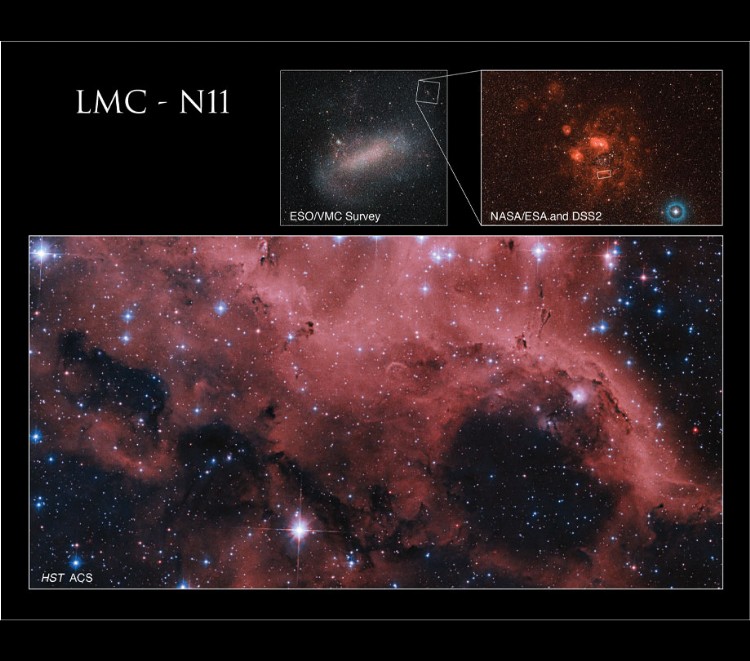 N11 is located within the Large Magellanic Cloud
