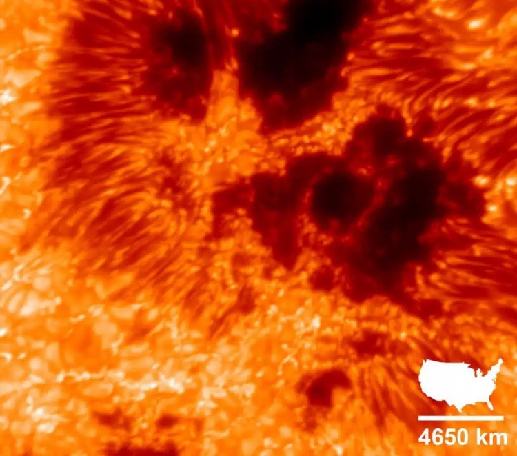 Narrow band image of the Sun