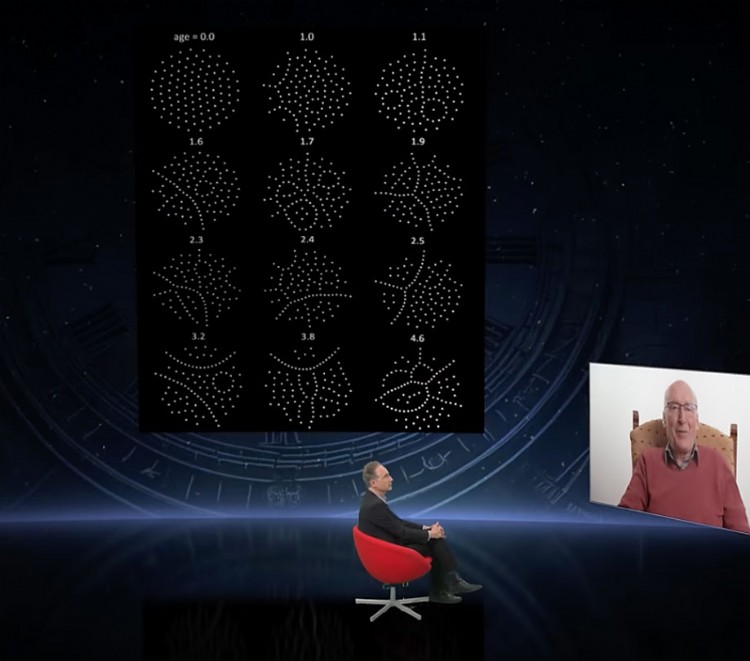 Past hypothesis and Newtonian physics