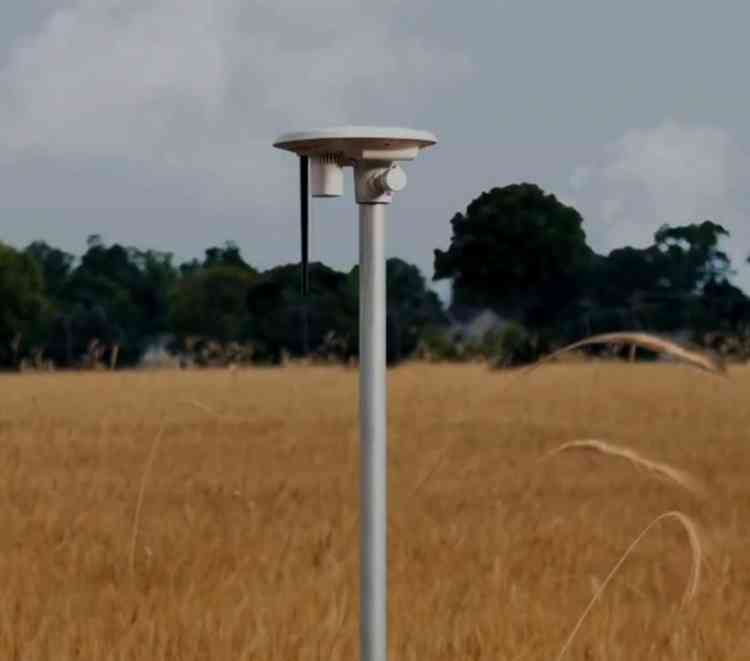 Potential growth of carbon markets