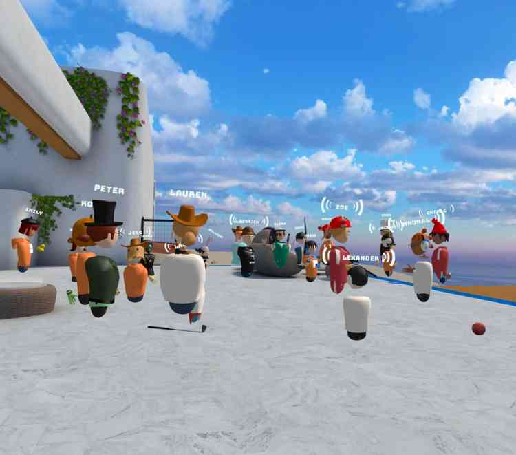 Remio VR socializing