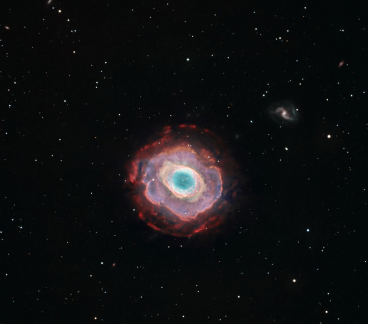 Ring Nebula with Argon and miniCAM8 camera by Nico Carver