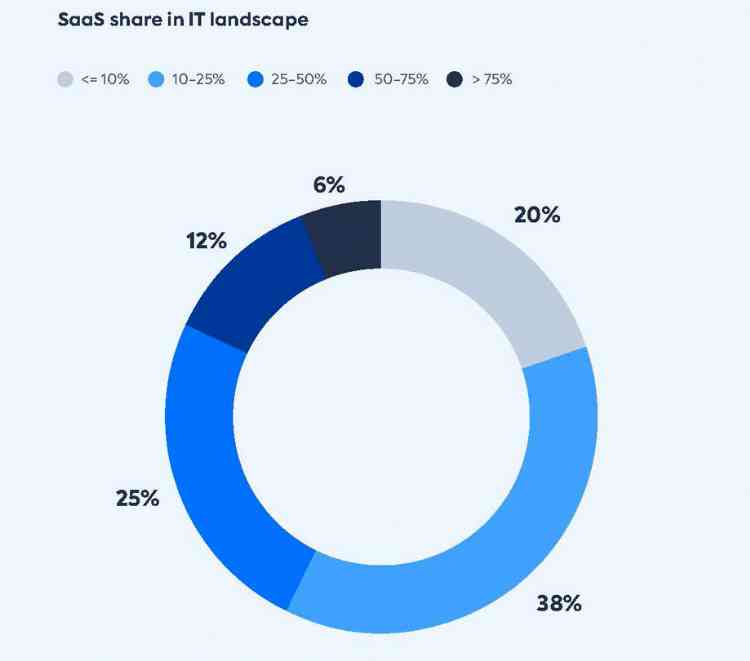 SaaS management survey