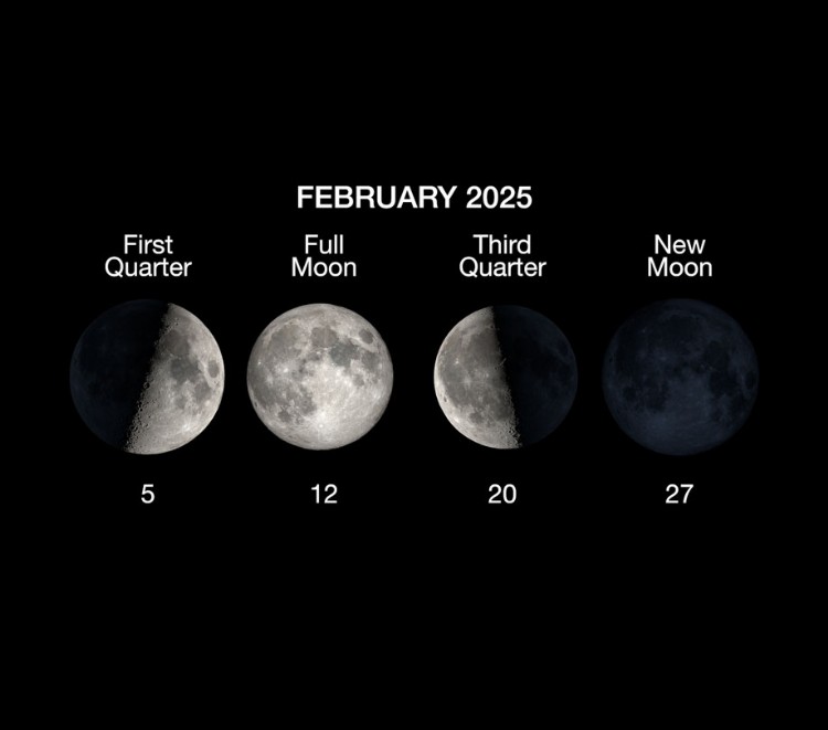 Sky chart showing Jupiter and Mars high overhead after nightfall in February