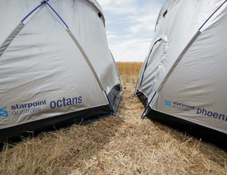 StarPoint Australis Octans and Pheonix