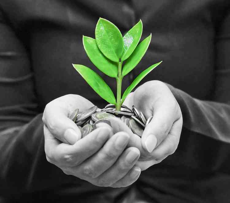 Strategies for Growing LTV of Users