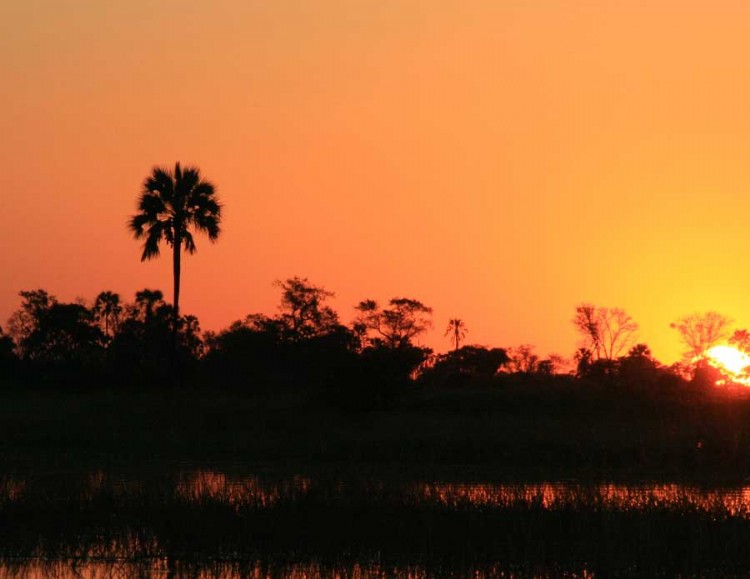 Sun Setting in Chobe South Africa