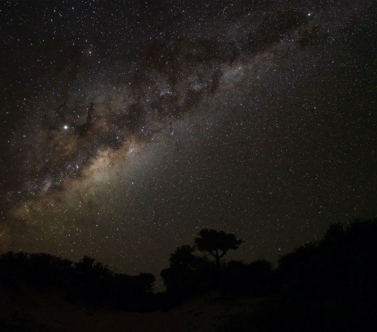 The importance of dark skies