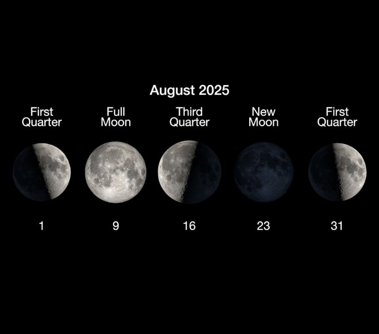 The phases of the Moon for August