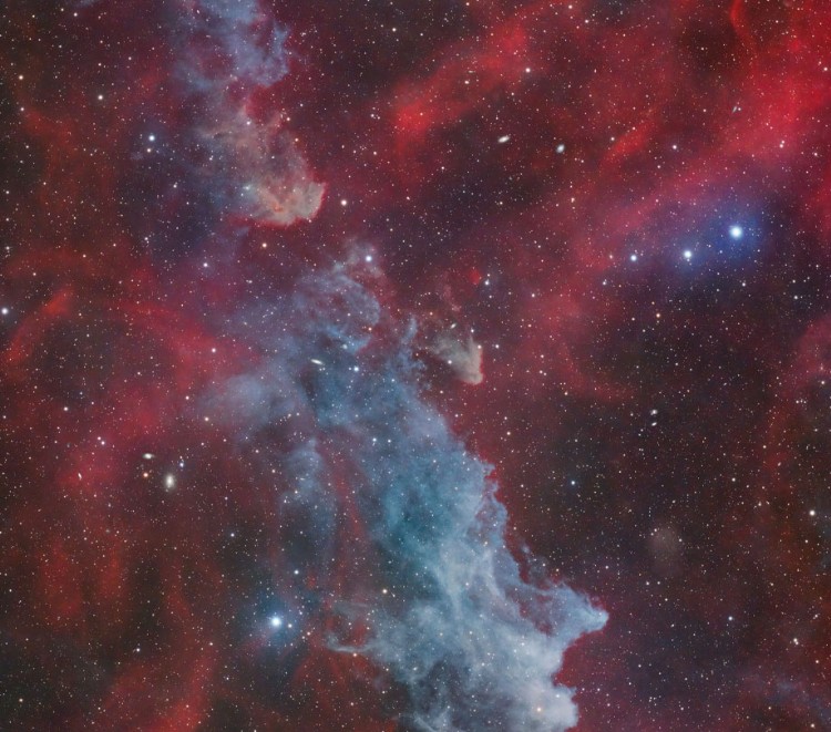 Third Place Ahmed Waddah