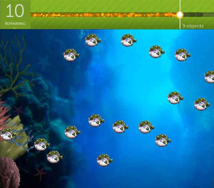 Tom Bradys secret weapon is an app