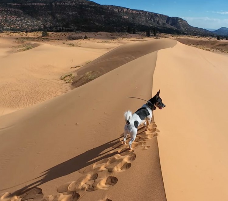 Uncovering the mysteries of sand dunes and their cosmic counterparts