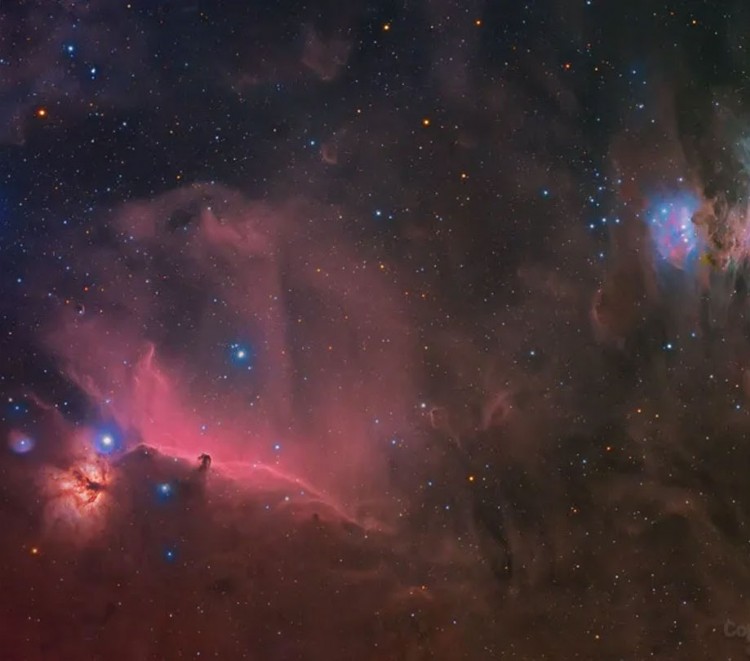 Understanding what you see