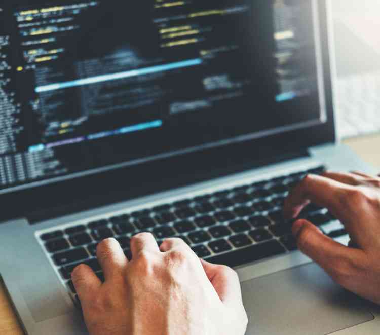 What are the key skills application developers need for the future