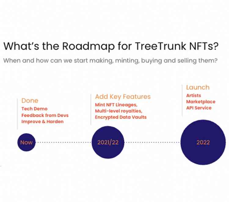 What role did ConsenSys Mesh play in its development