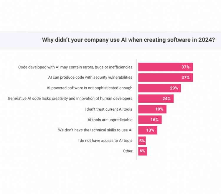 Why didnt your company use AI when creating software in 2024